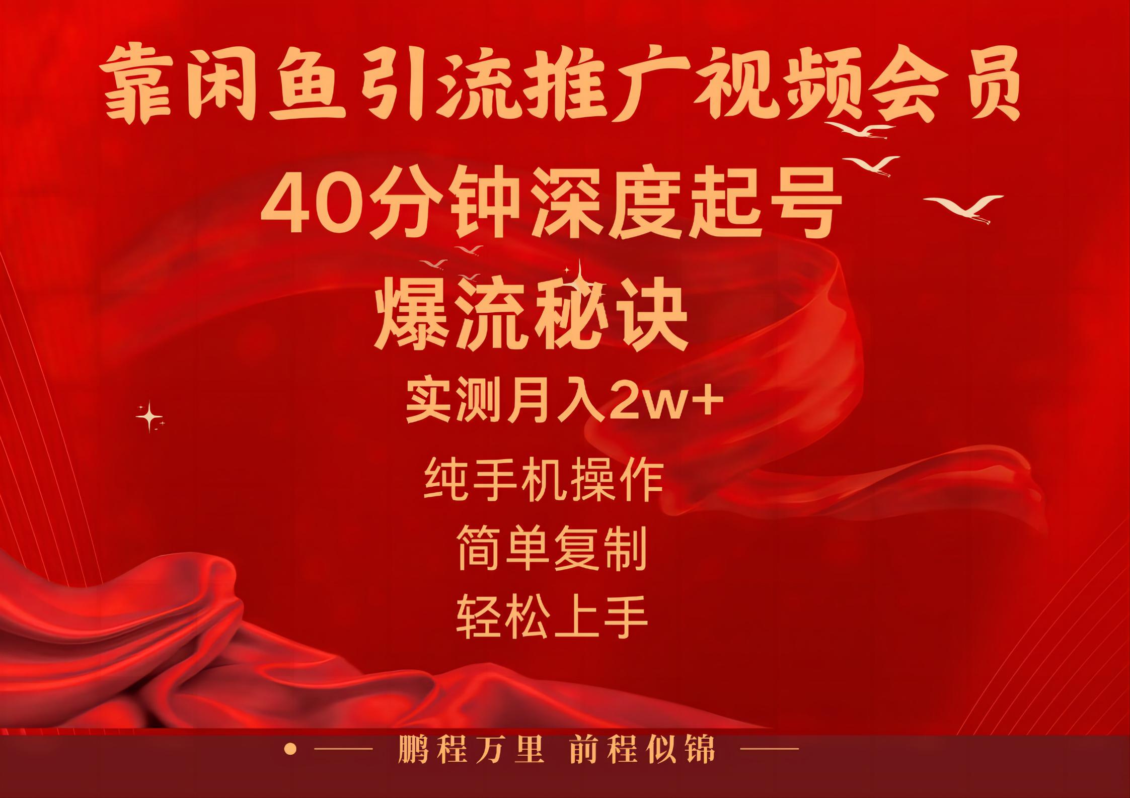 闲鱼暴力引流推广视频会员，能做到日入2W+，操作简单-800资源网