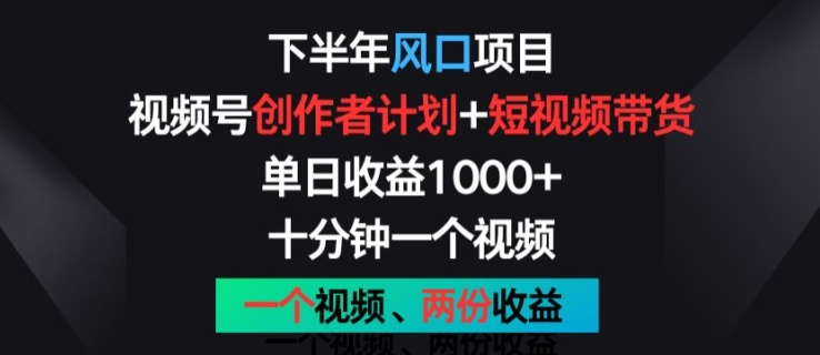 下半年风口项目，视频号创作者计划+视频带货，一个视频两份收益，十分钟一个视频-800资源网