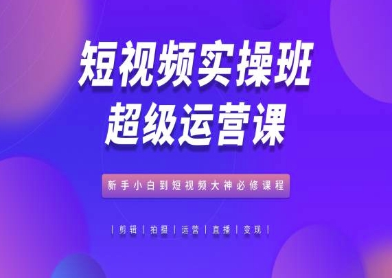 短视频实操班超级运营课，新手小白到短视频大神必修课程-800资源网