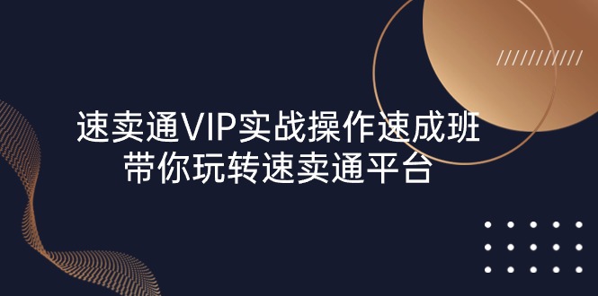 速卖通 VIP实战操作-速成班，带你玩转速卖通平台（23节）-800资源网