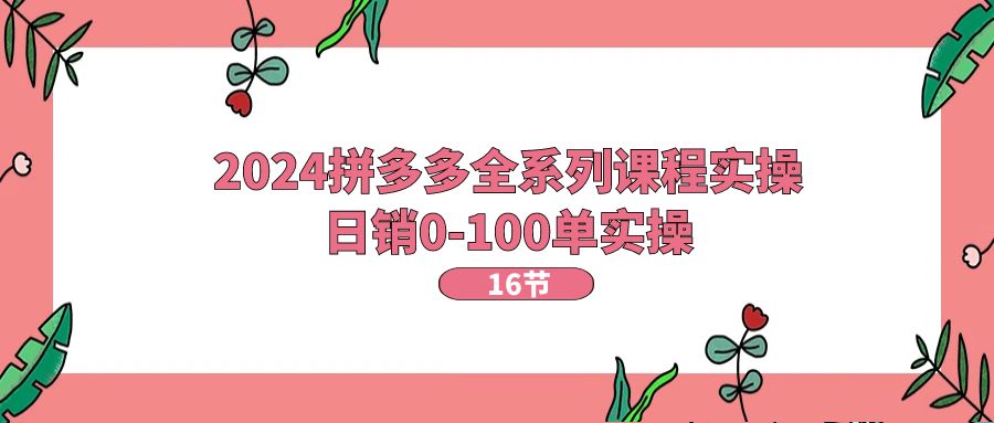 2024拼多多全系列课程实操，日销0-100单实操【16节课】-800资源网