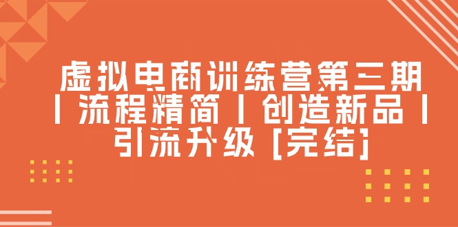 虚拟电商训练营第三期丨流程精简丨创造新品丨引流升级-800资源网