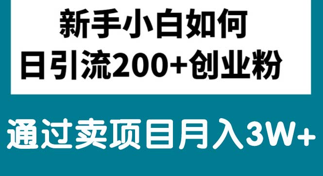 新手小白日引流200+创业粉,通过卖项目月入3W+-800资源网