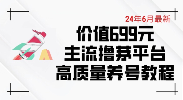 6月最新价值699的主流撸茅台平台精品养号下车攻略-800资源网