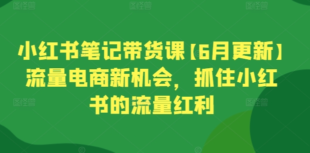 小红书笔记带货课【6月更新】流量电商新机会，抓住小红书的流量红利-800资源网