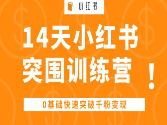 14天小红书突围训练营 ，0基础快速突破千粉变现-800资源网