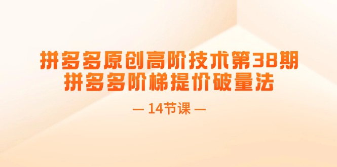 拼多多原创高阶技术第38期，拼多多阶梯提价破量法（14节课）-800资源网
