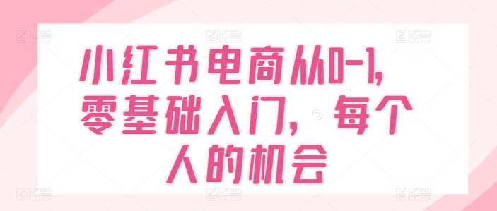 小红书电商从0-1，零基础入门，每个人的机会-800资源网