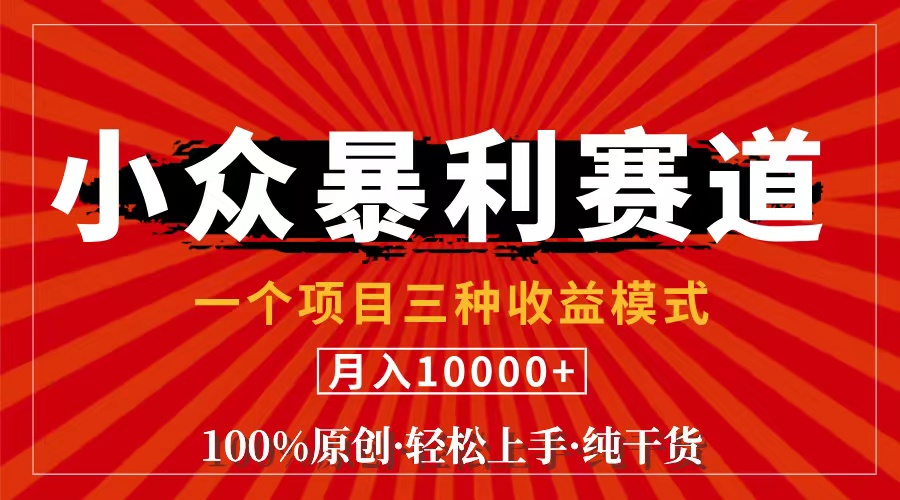 视频号【中老年粉深信不疑】小众赛道 100%原创 手把手教学 新号3天收益…-800资源网