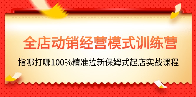 全店动销-经营模式训练营，指哪打哪100%精准拉新保姆式起店实战课程-800资源网