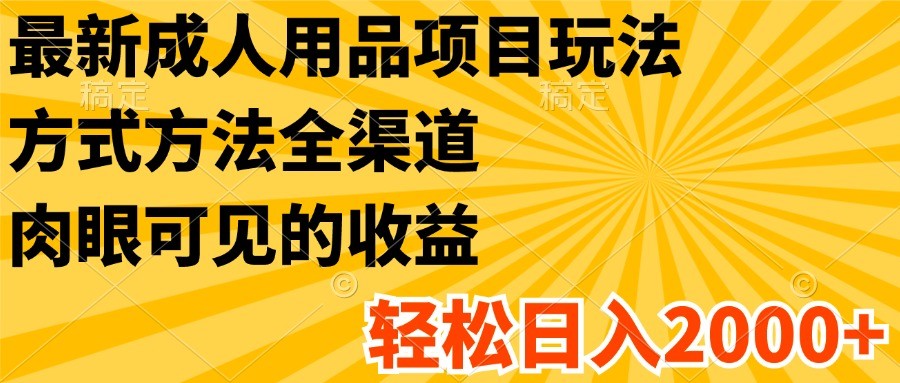 最新成人用品项目玩法，方式方法全渠道，肉眼可见的收益，轻松日入2000+-800资源网