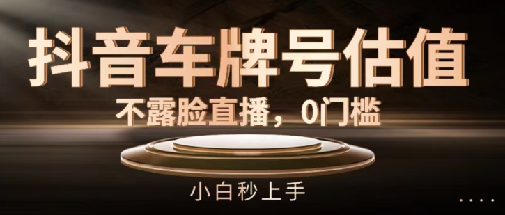抖音车牌号估值，不露脸直播，0门槛，小白秒上手-800资源网