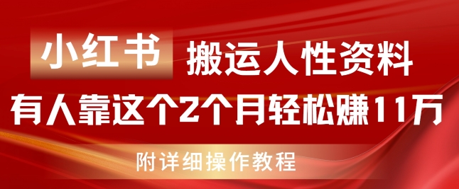 小红书搬运人性资料，有人靠这个2个月轻松赚11w，附教程-800资源网