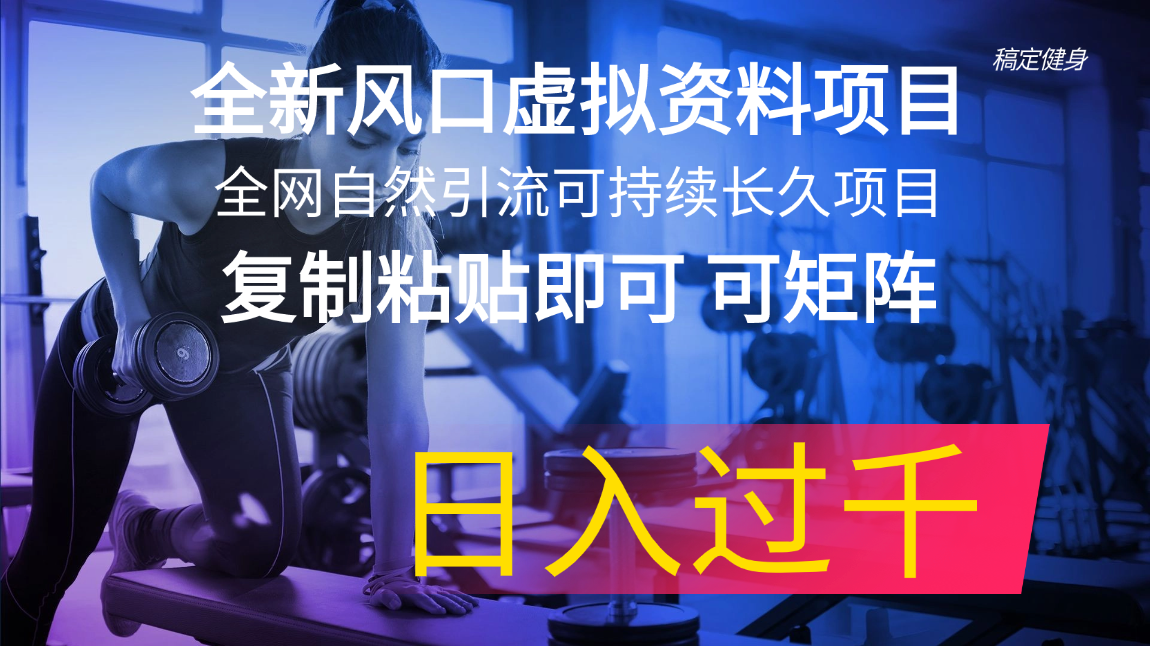 全新风口虚拟资料项目 全网自然引流可持续长久项目 复制粘贴即可可矩阵…-800资源网