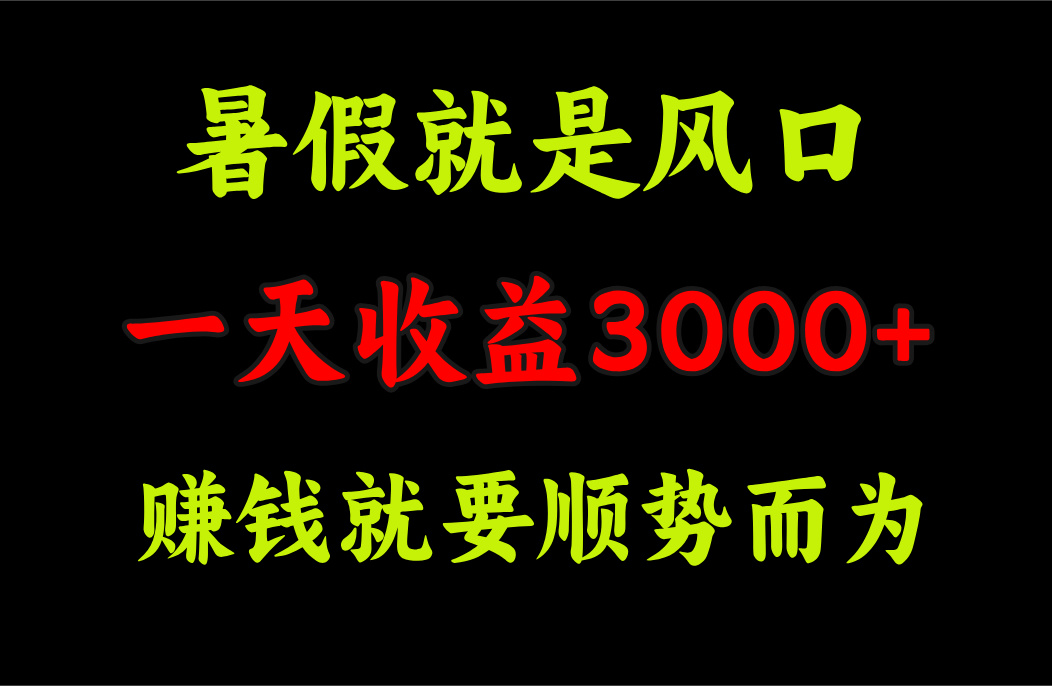 一天收益3000+ 赚钱就是顺势而为，暑假就是风口-800资源网