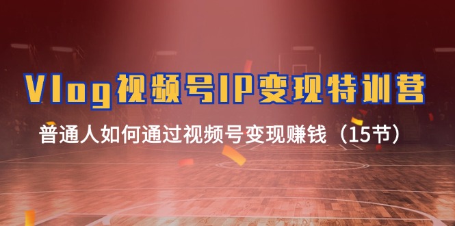 Vlog视频号IP变现特训营，普通人如何通过视频号变现赚钱（15节）-800资源网