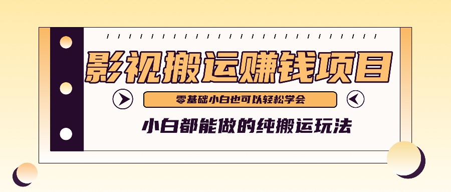 手把手教你操作影视搬运项目，小白都能做零基础也能赚钱-800资源网