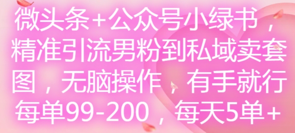 微头条+公众号小绿书，精准引流男粉到私域卖套图，无脑操作，有手就行，每单99-200，每天5单-800资源网