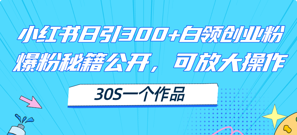 小红书日引300+高质白领创业粉，可放大操作，爆粉秘籍！30s一个作品-800资源网