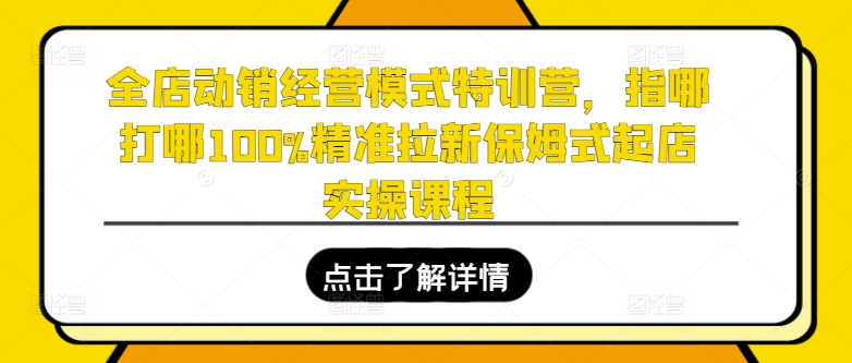 全店动销经营模式特训营，指哪打哪100%精准拉新保姆式起店实操课程-800资源网