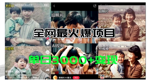 全网爆火的AI让老照片动起来教程，蹭热点日赚3k+，内含免费工具一键可生成-800资源网