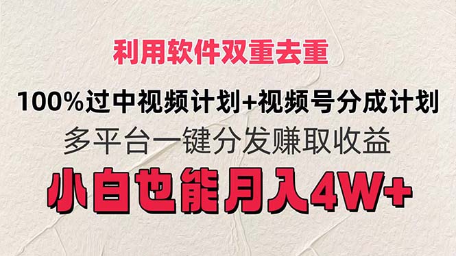 利用软件双重去重，100%过中视频+视频号分成计划小白也可以月入4W+-800资源网