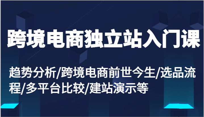 跨境电商独立站入门课：趋势分析/跨境电商前世今生/选品流程/多平台比较/建站演示等-800资源网