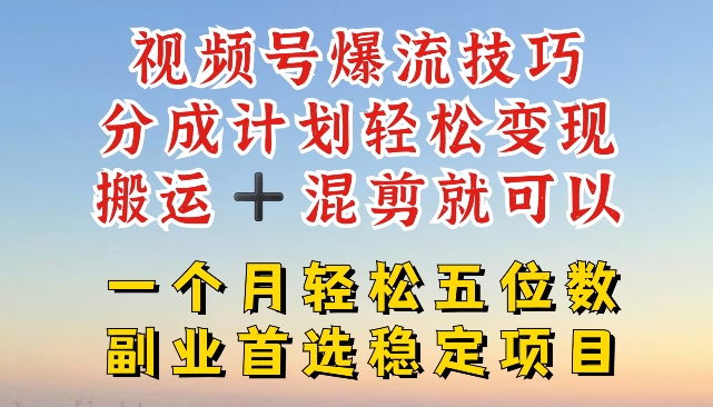 视频号爆流技巧，分成计划轻松变现，搬运 +混剪就可以，一个月轻松五位数稳定项目-800资源网