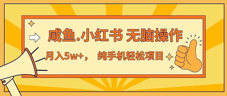 2024最赚钱的项目，咸鱼，小红书无脑操作，每单利润500+，轻松月入5万+…-800资源网