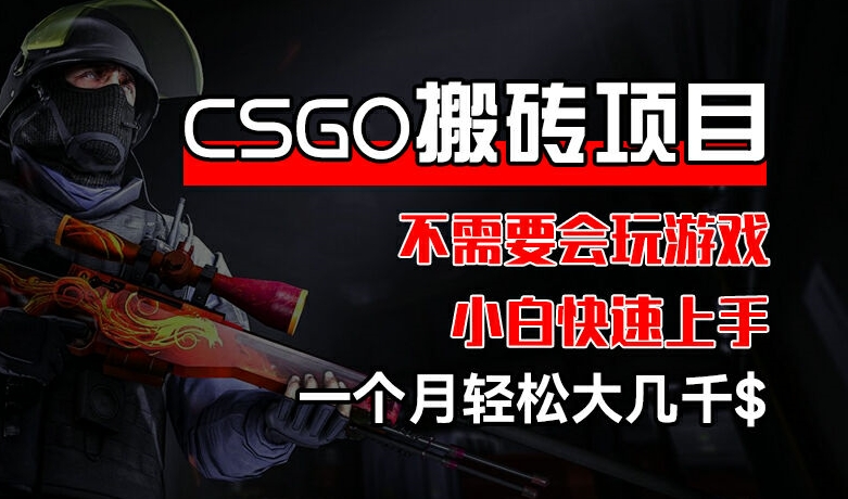 CSGO 装备搬砖项目，操作简单，不需要会玩游戏，小白也能快速上手，一个月轻松大几千-800资源网