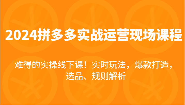 2024拼多多实战运营现场课，实时玩法，爆款打造，选品、规则解析，难得的实操线下课！-800资源网