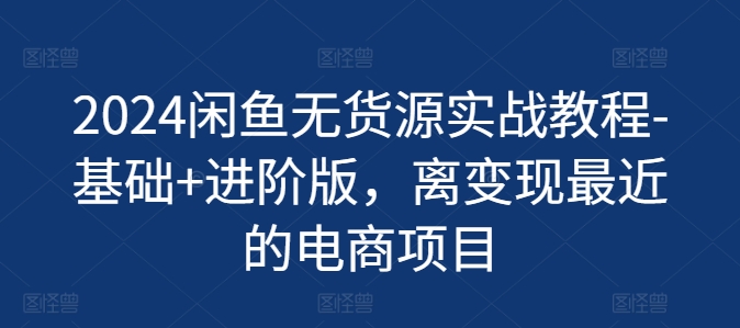 2024闲鱼无货源实战教程-基础+进阶版，离变现最近的电商项目-800资源网