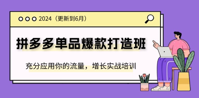 2024拼多多单品爆款打造班，充分应用你的流量，增长实战培训(更新6月)-800资源网