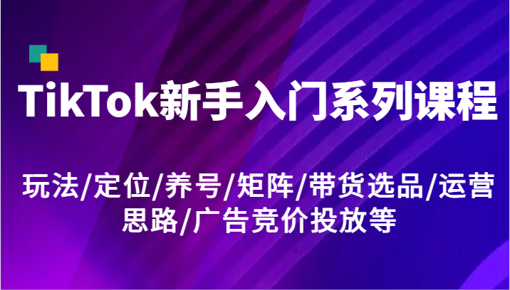 TikTok新手入门系列课程，玩法/定位/养号/矩阵/带货选品/运营思路/广告竞价投放等-800资源网
