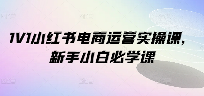 1V1小红书电商运营实操课，新手小白必学课-800资源网
