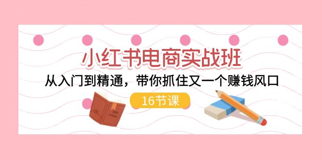 小红书电商实战班，从入门到精通，带你抓住又一个赚钱风口（17节）-800资源网