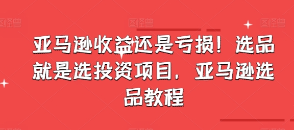 亚马逊收益还是亏损！选品就是选投资项目，亚马逊选品教程-800资源网
