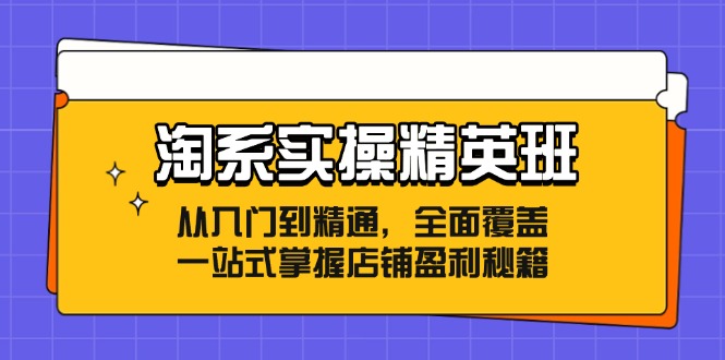 淘系实操精英班：从入门到精通，全面覆盖，一站式掌握店铺盈利秘籍-800资源网