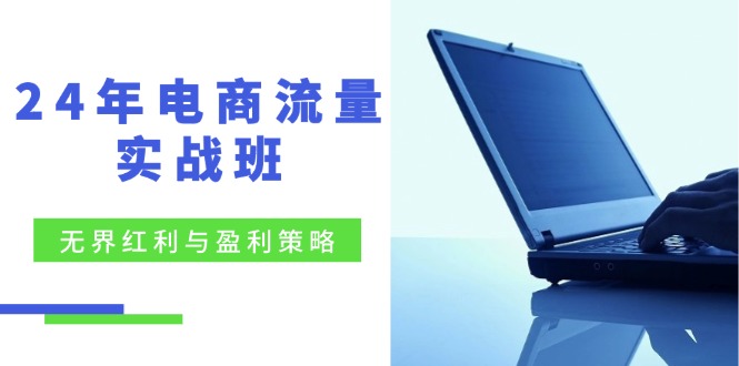 电商流量实战班：无界红利与盈利策略，终极提升/关键词优化/精准人群拓展/创新玩法-800资源网