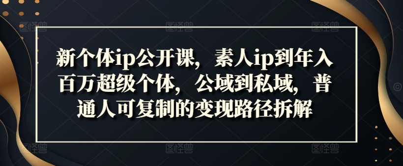 新个体ip公开课，素人ip到年入百万超级个体，公域到私域，普通人可复制的变现路径拆解-800资源网