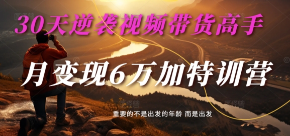 30天逆袭视频带货高手，单月变现6万加特训营-麦子甜-800资源网