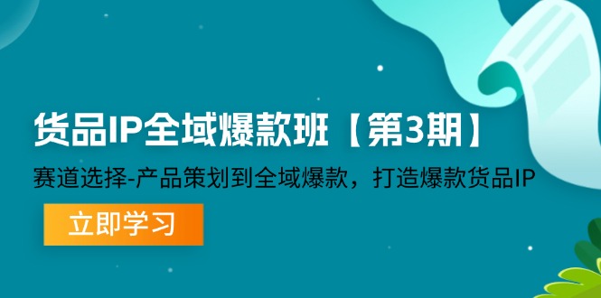 货品IP全域爆款班【第3期】赛道选择、产品策划到全域爆款，打造爆款货品IP-800资源网