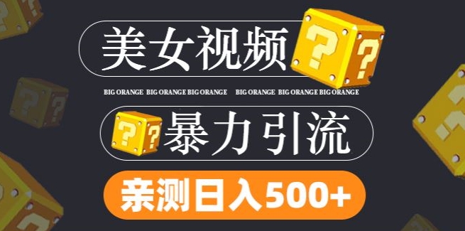 搬运tk美女视频全网分发，日引s粉300+，轻松变现，不限流量不封号-800资源网