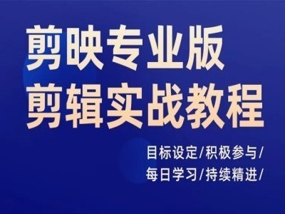 剪映专业版剪辑实战教程，目标设定/积极参与/每日学习/持续精进-800资源网