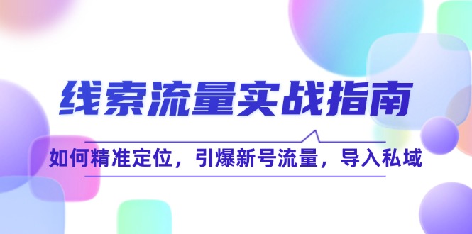 线 索 流 量-实战指南：如何精准定位，引爆新号流量，导入私域-800资源网