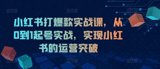 小红书打爆款实战课，从0到1起号实战，实现小红书的运营突破-800资源网