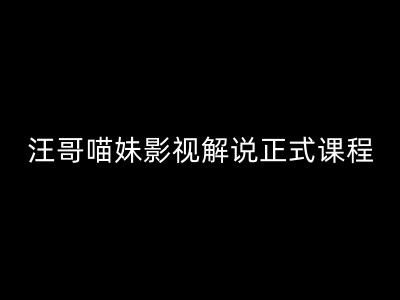 汪哥影视解说正式课程：剪映/PR教学/视解说剪辑5大黄金法则/全流程剪辑7把利器等等-800资源网