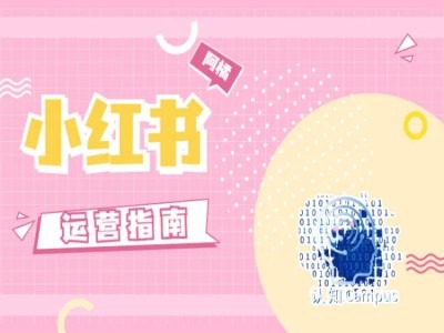 小红书运营指南，没有套路，全是经验-800资源网