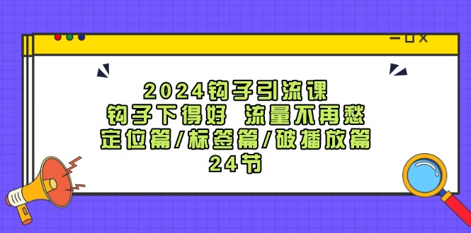 2024钩子引流课：钩子下得好流量不再愁，定位篇/标签篇/破播放篇/24节-800资源网