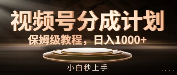 视频号分成计划保姆级教程，日入1K，小白秒上手-800资源网